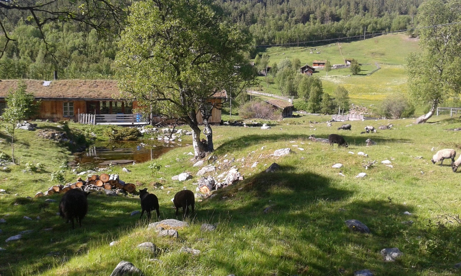 Galleribilde