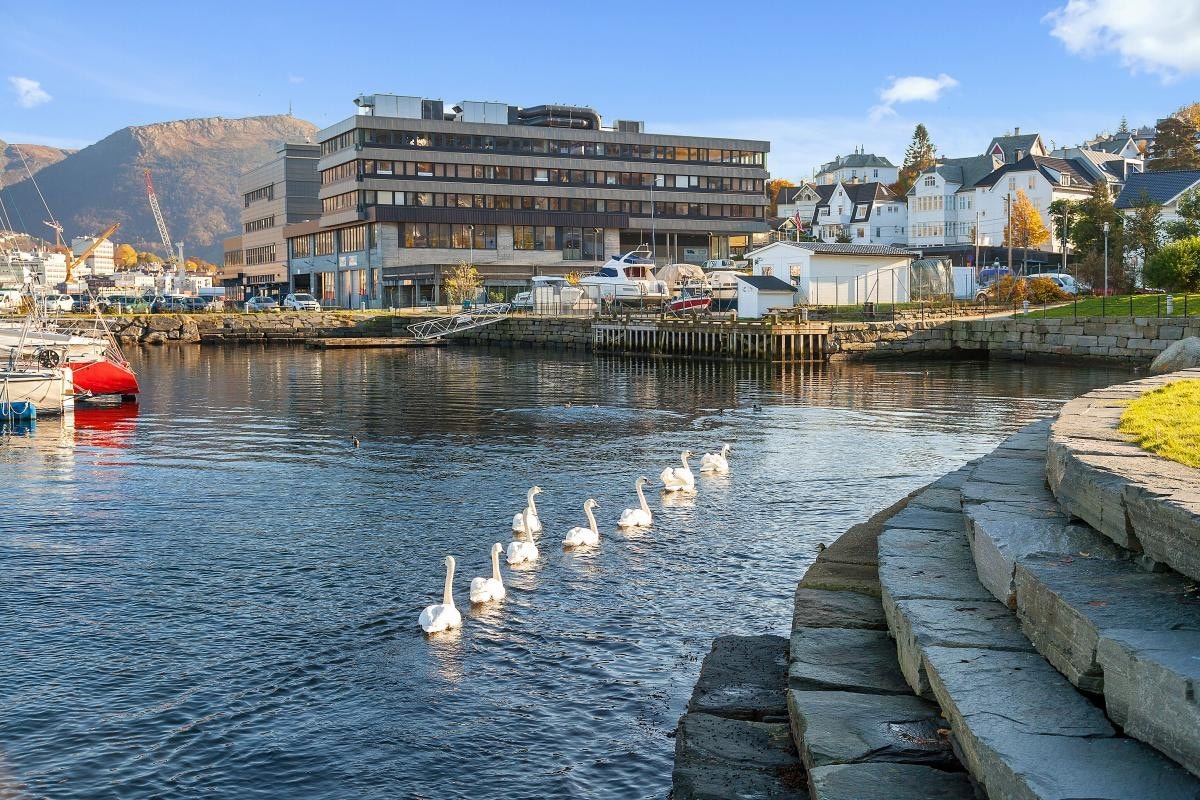 Det maritime rett utenfor inngangsdøren Galleribilde