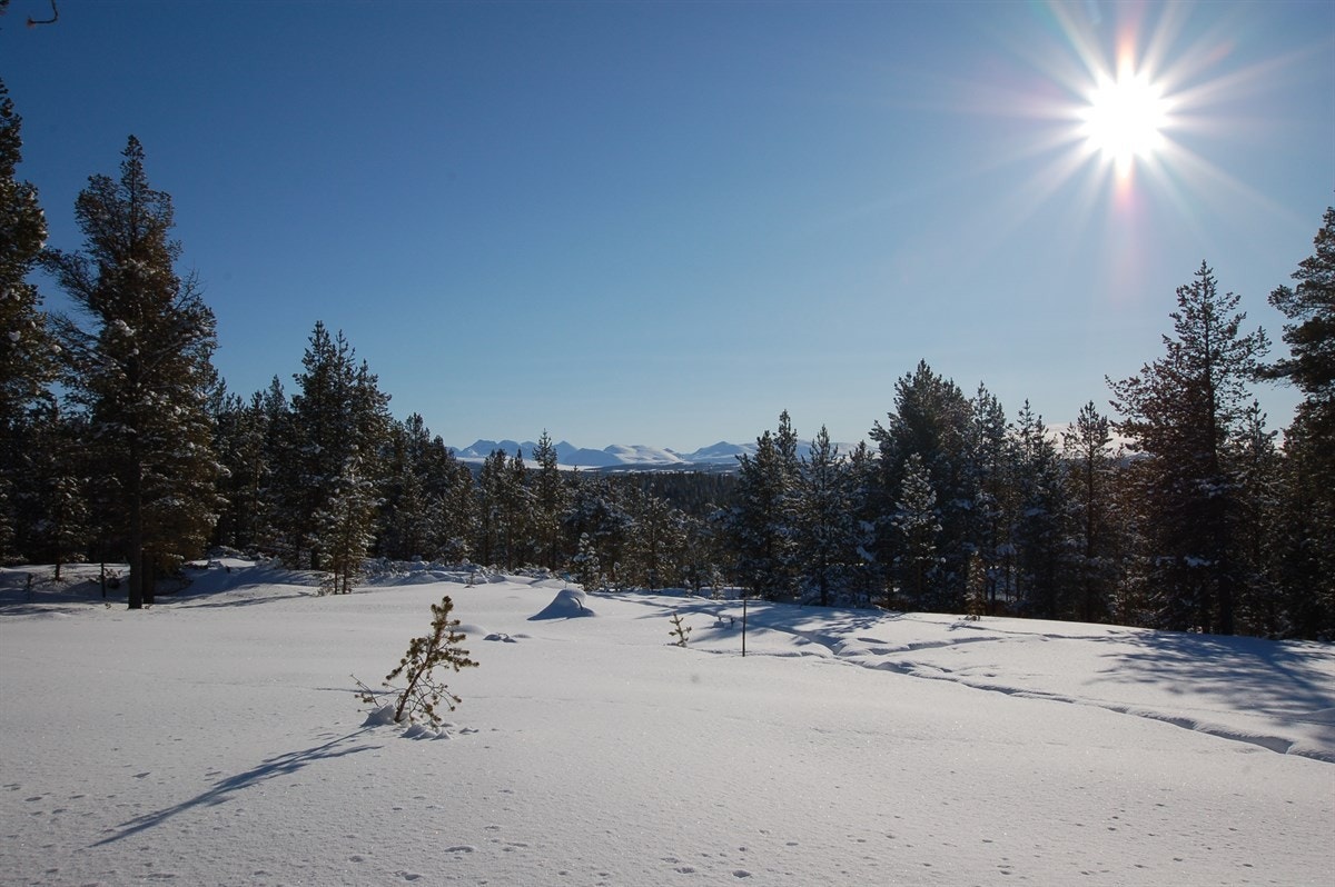 DSC_0058 Galleribilde