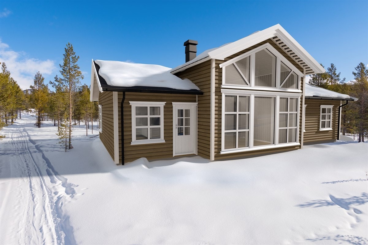 bakside Galleribilde