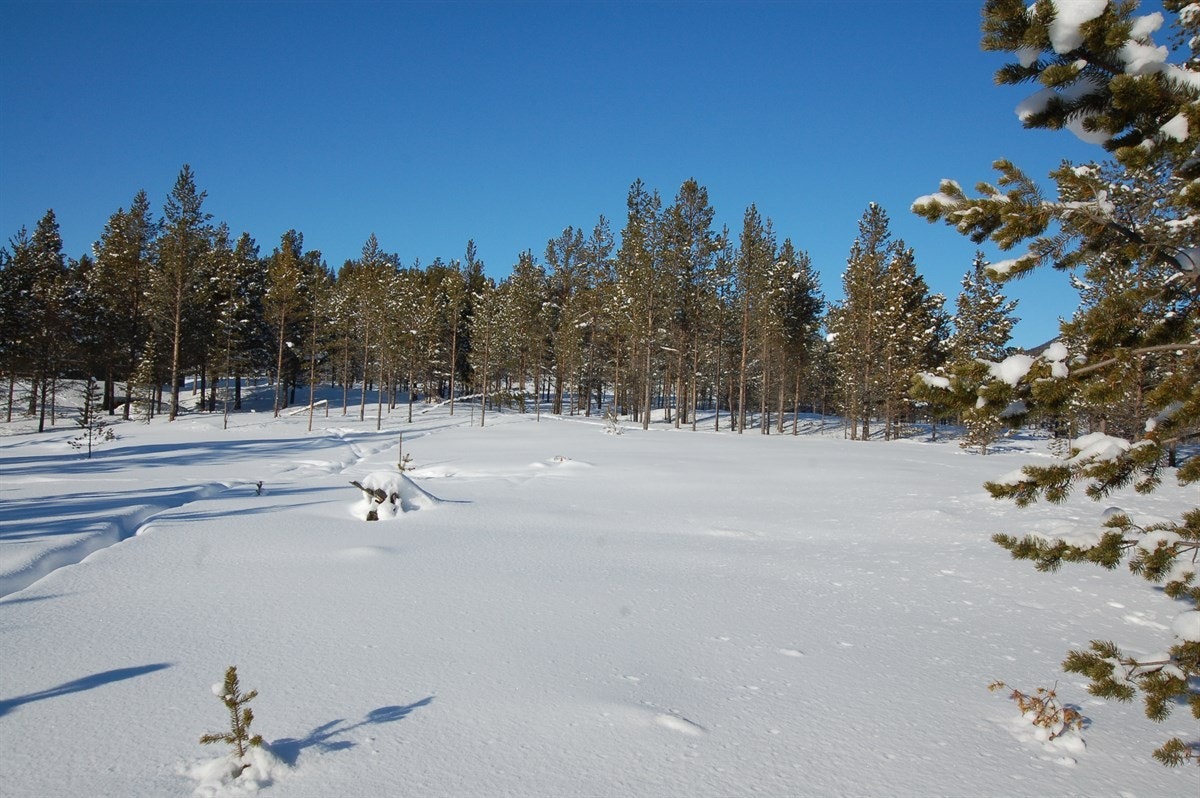 DSC_0066 Galleribilde