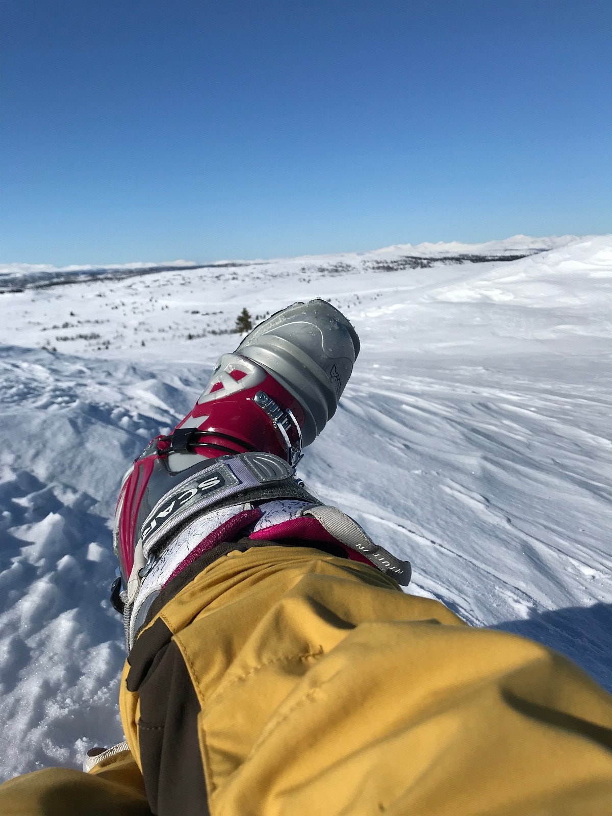 Topptur Galleribilde