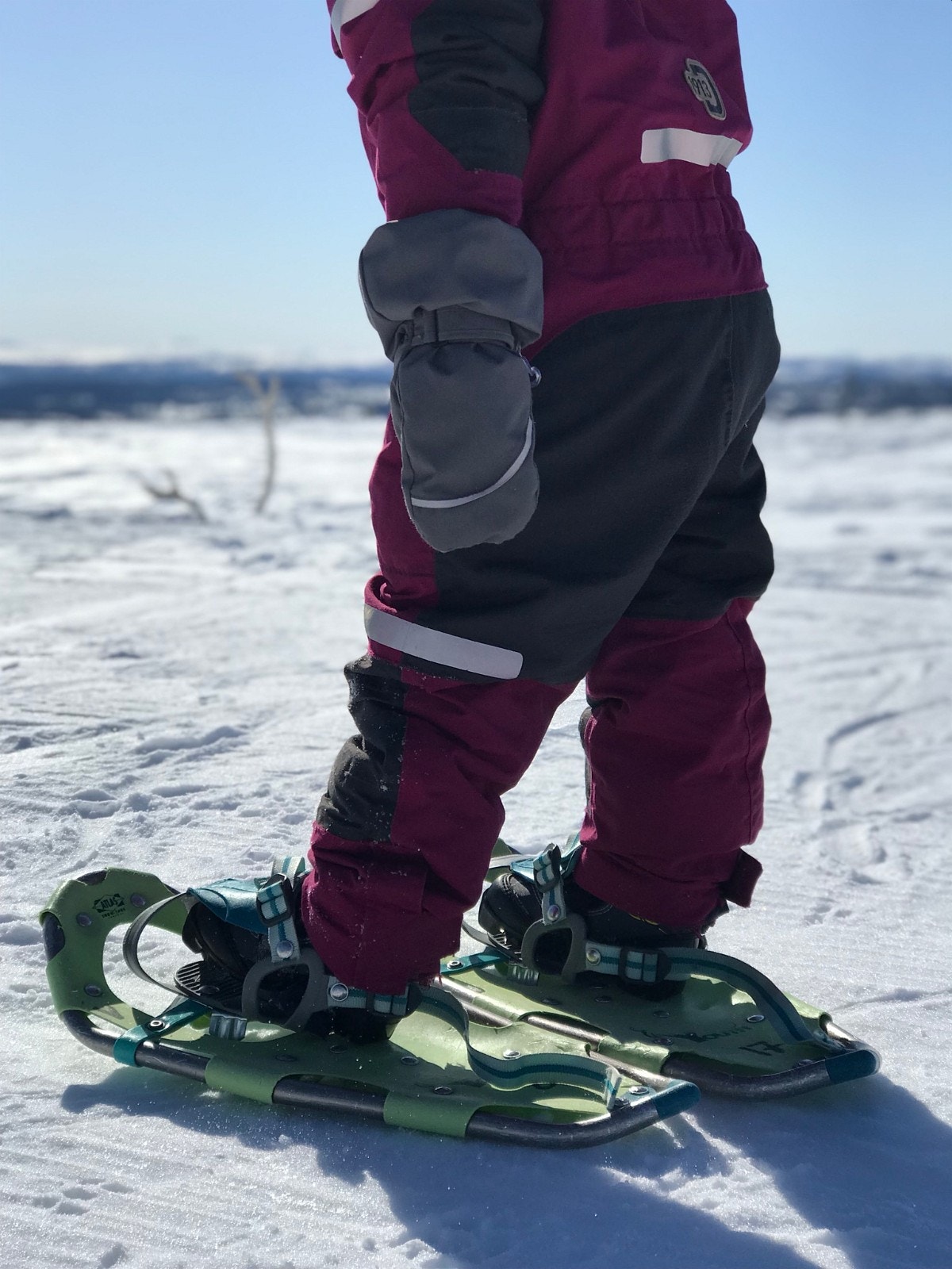 Trugetur Galleribilde