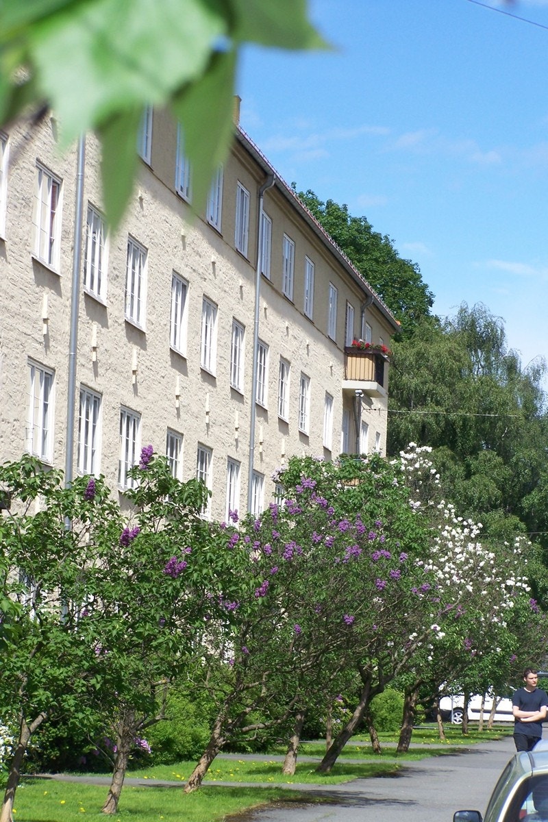 Beplantninger og forhager rundt bygningene Galleribilde