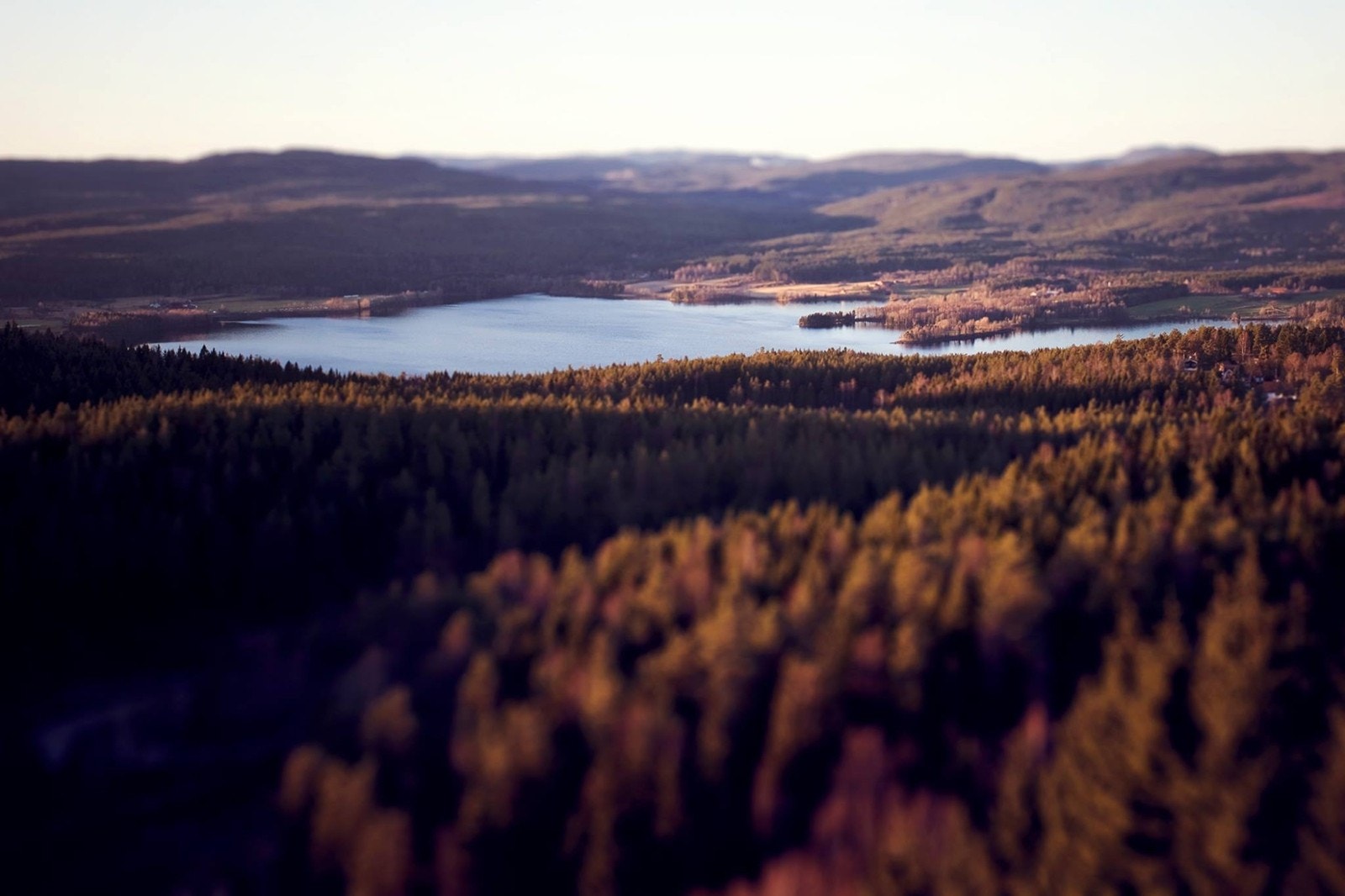 Fra toppen av Linderudkollen - utsikten innover i marka er formidabel! Galleribilde