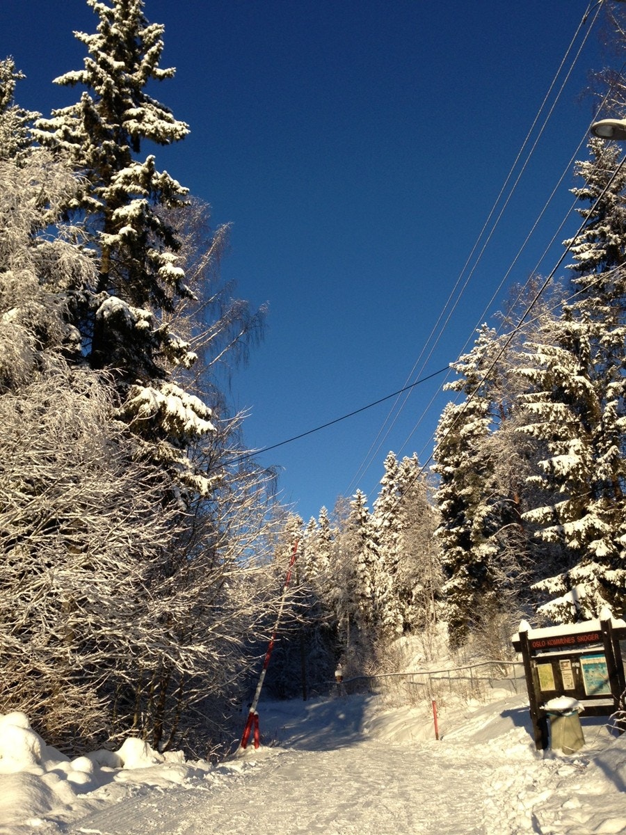 Inngangen til Lillomarka ligger bare 200 meter unna. Herifra går det lysløyper hele vinteren. Galleribilde