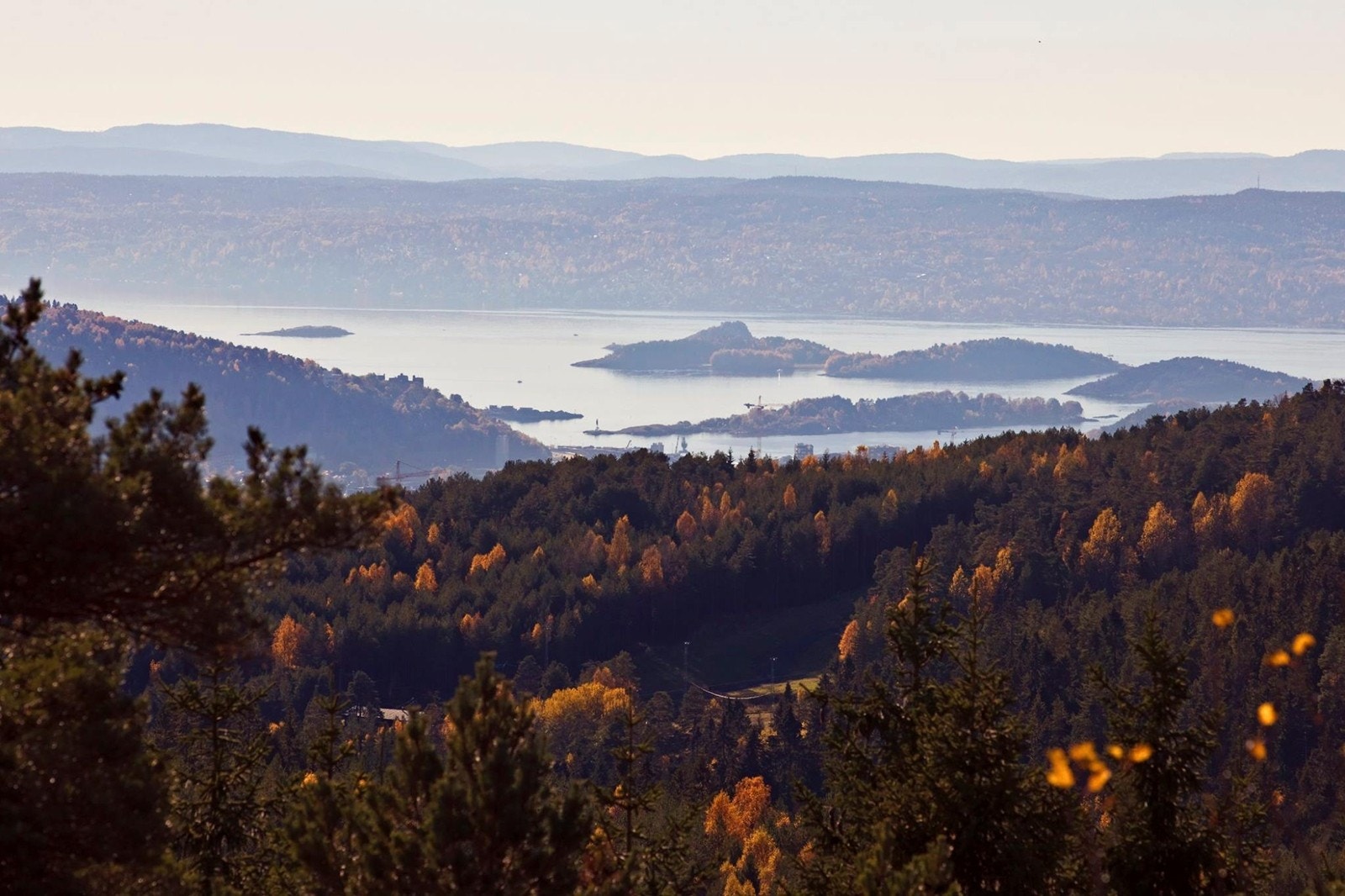 Oppe på Årvollåsen, rett bak Årvollskogen, er det flotte turstier og nydelig utsikt rett ned mot Oslo sentrum Galleribilde