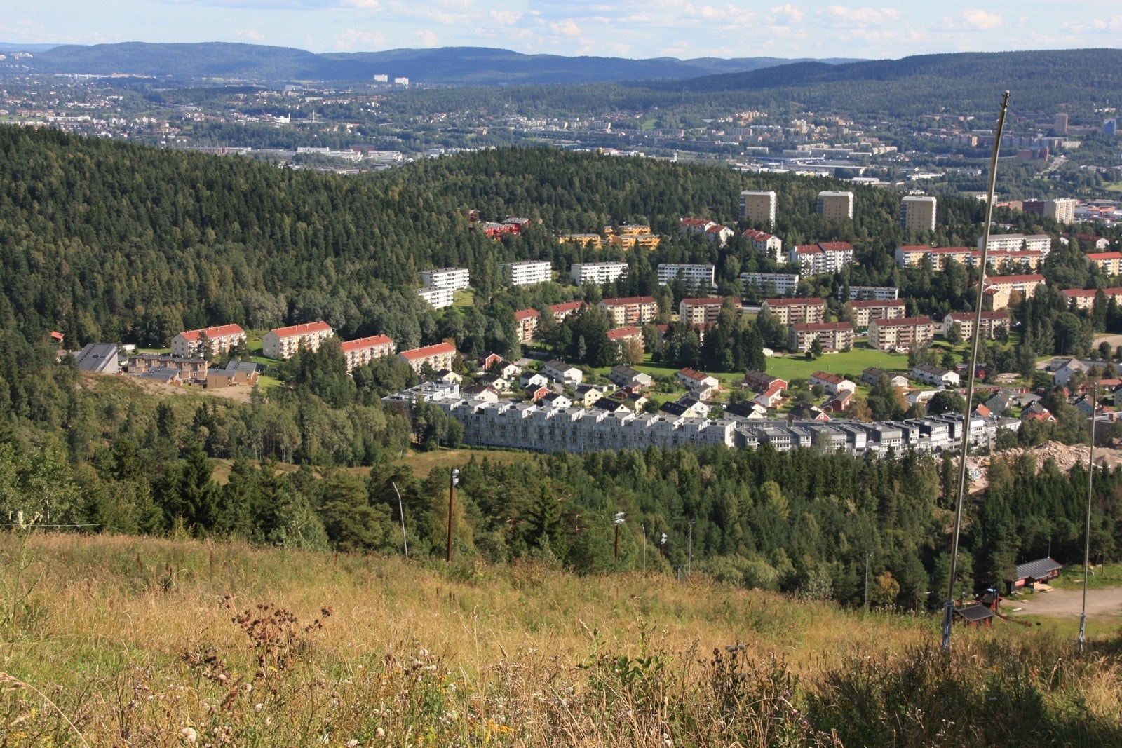 Årvollskogen sett fra slalombakken Galleribilde