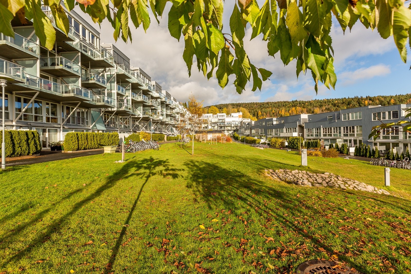 Årvollskogens nydelige parkområde - et fantastisk tilholdssted for både små og store. Galleribilde