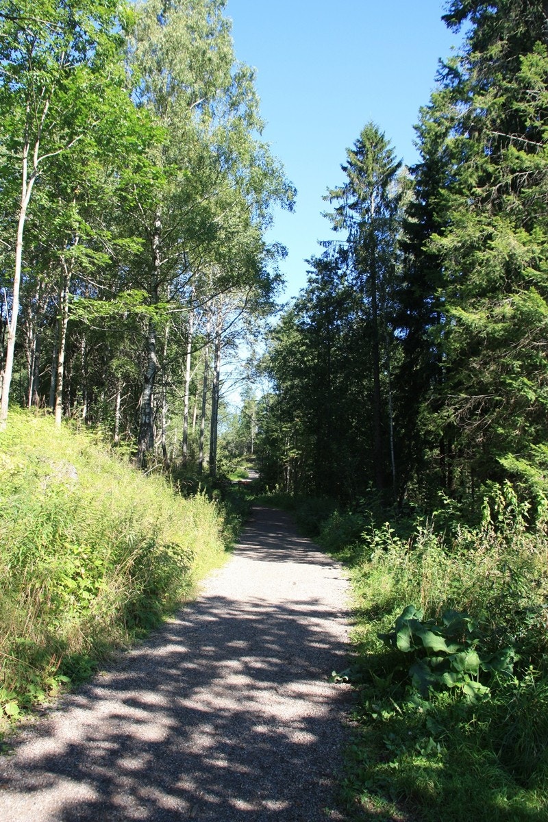 Turstier rett utenfor døren, sommer Galleribilde