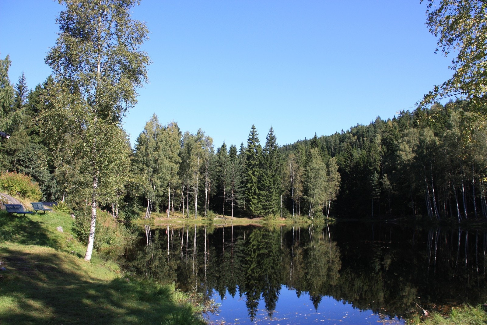 Isdammen, sommer Galleribilde