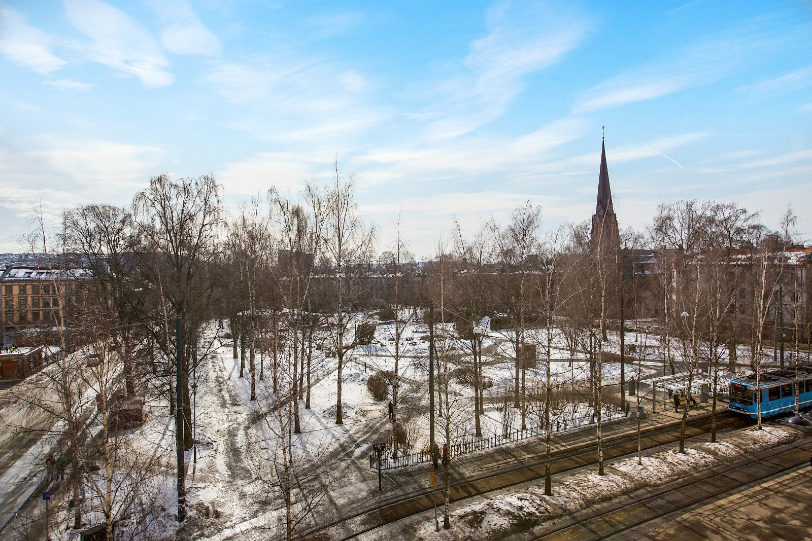 Utsikt over Birkelunden park. Galleribilde