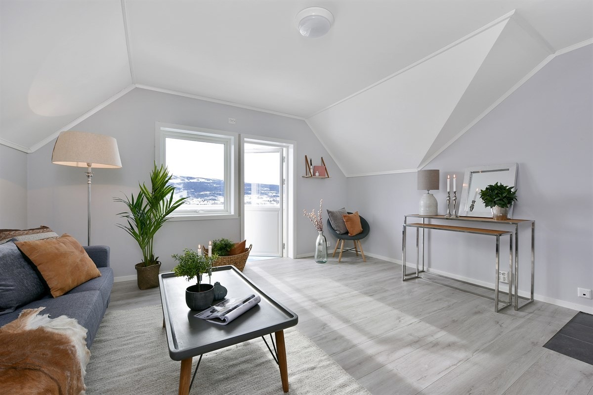 Velkommen til visning! Galleribilde