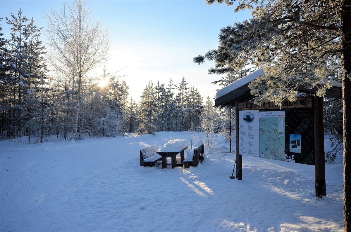 Flotte turstier i nærområdet, som Svartholtet m.fl. Galleribilde