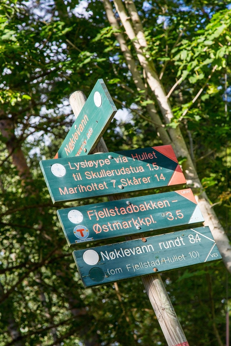 Østmarka Galleribilde