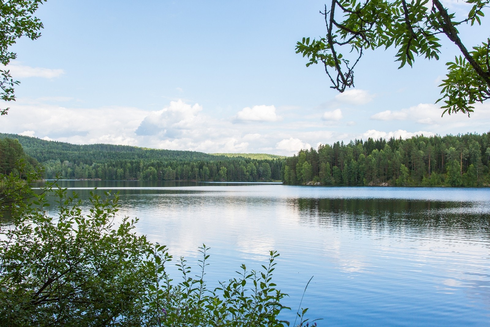 Nøklevann Galleribilde
