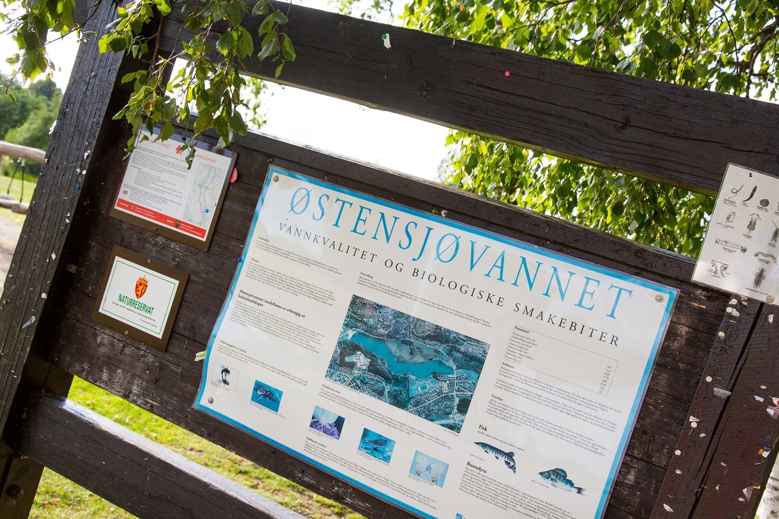 Østensjøvannet Galleribilde