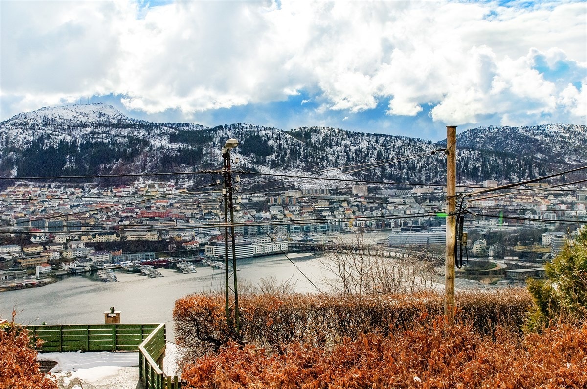 Flott utsikt Galleribilde