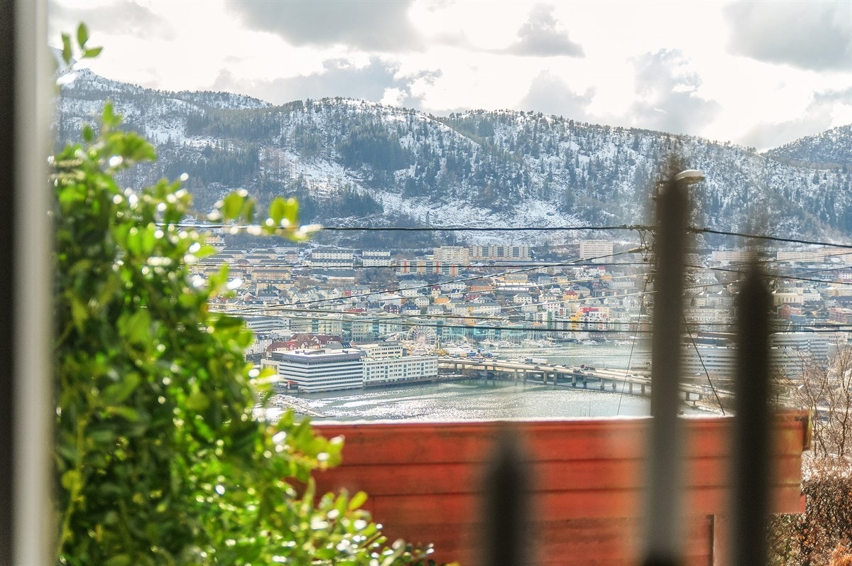 Løvstakken og store Lundgårdsvann Galleribilde