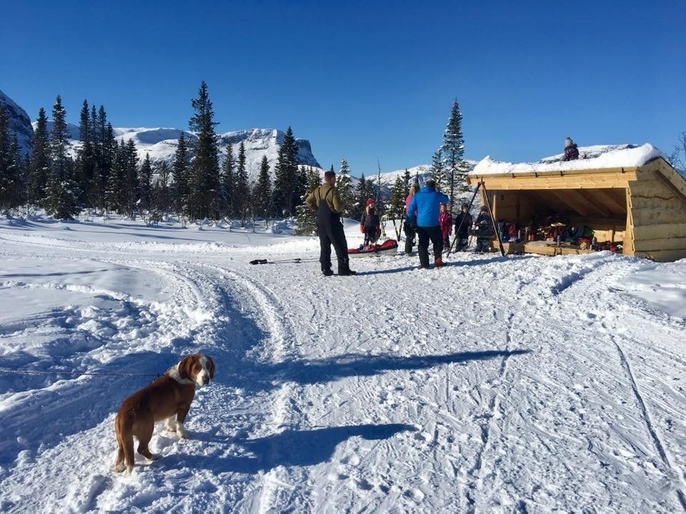 Gapahuk ved skiløypa med til fri bruk Galleribilde
