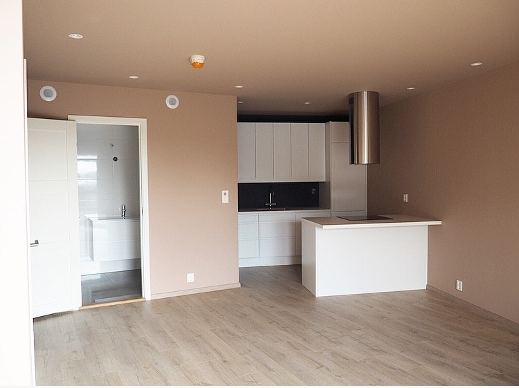 Moderne kjøkken med kvalitets hvitevarer Galleribilde