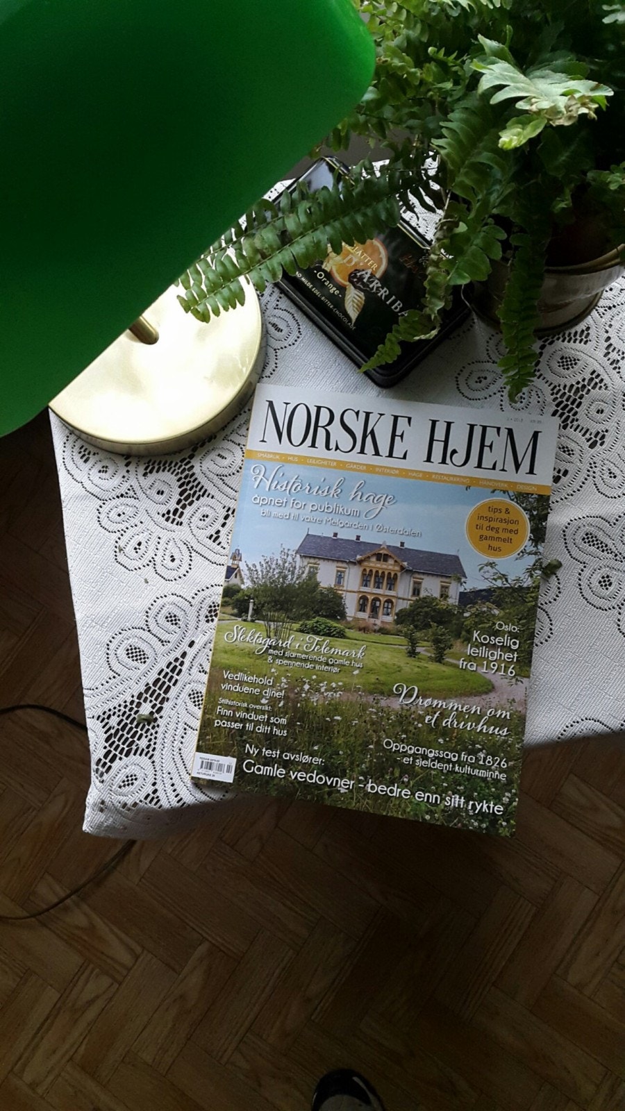 20180415_NHjem v vindu Galleribilde