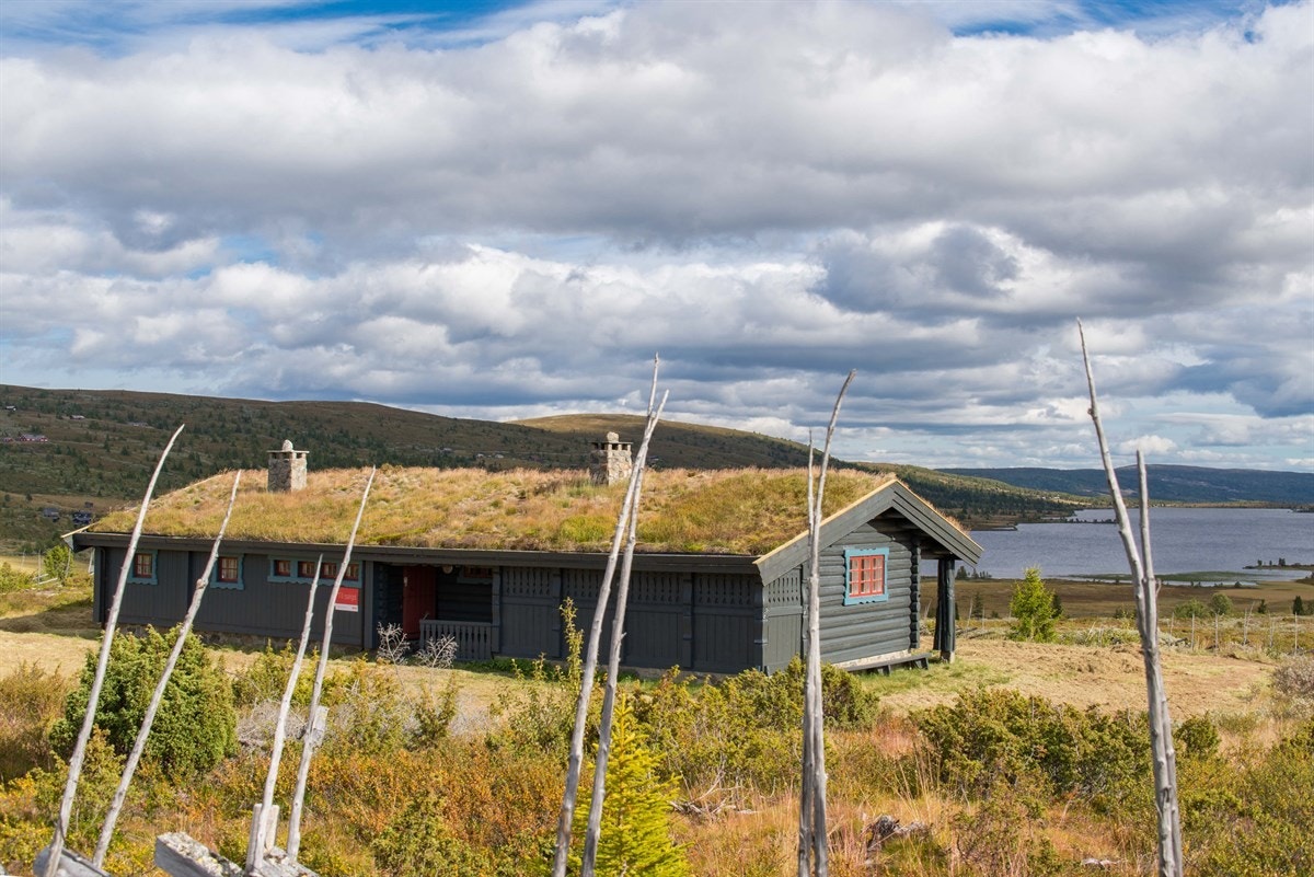 Velkommen til Kvislasyndin 1204! Her er det nydelig utsikt til vann, fjell og vidder... Galleribilde