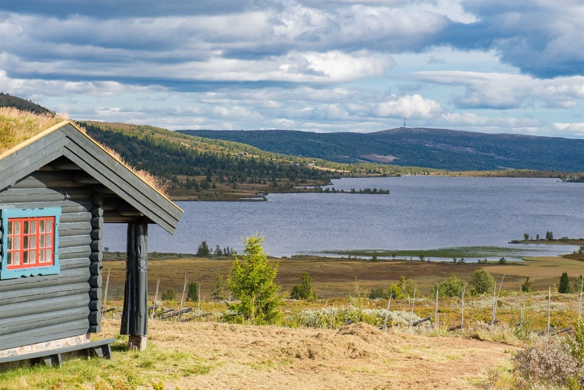 Velkommen til visning! Galleribilde