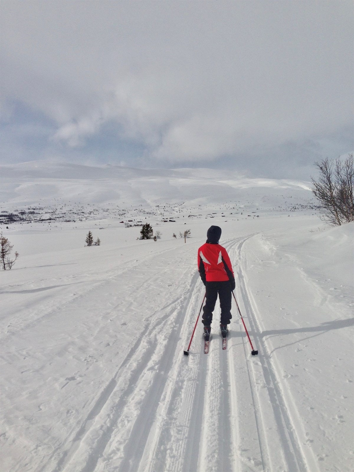 Flotte, oppkjørte skiløyper omlag 10 m fra eiendommen. Galleribilde