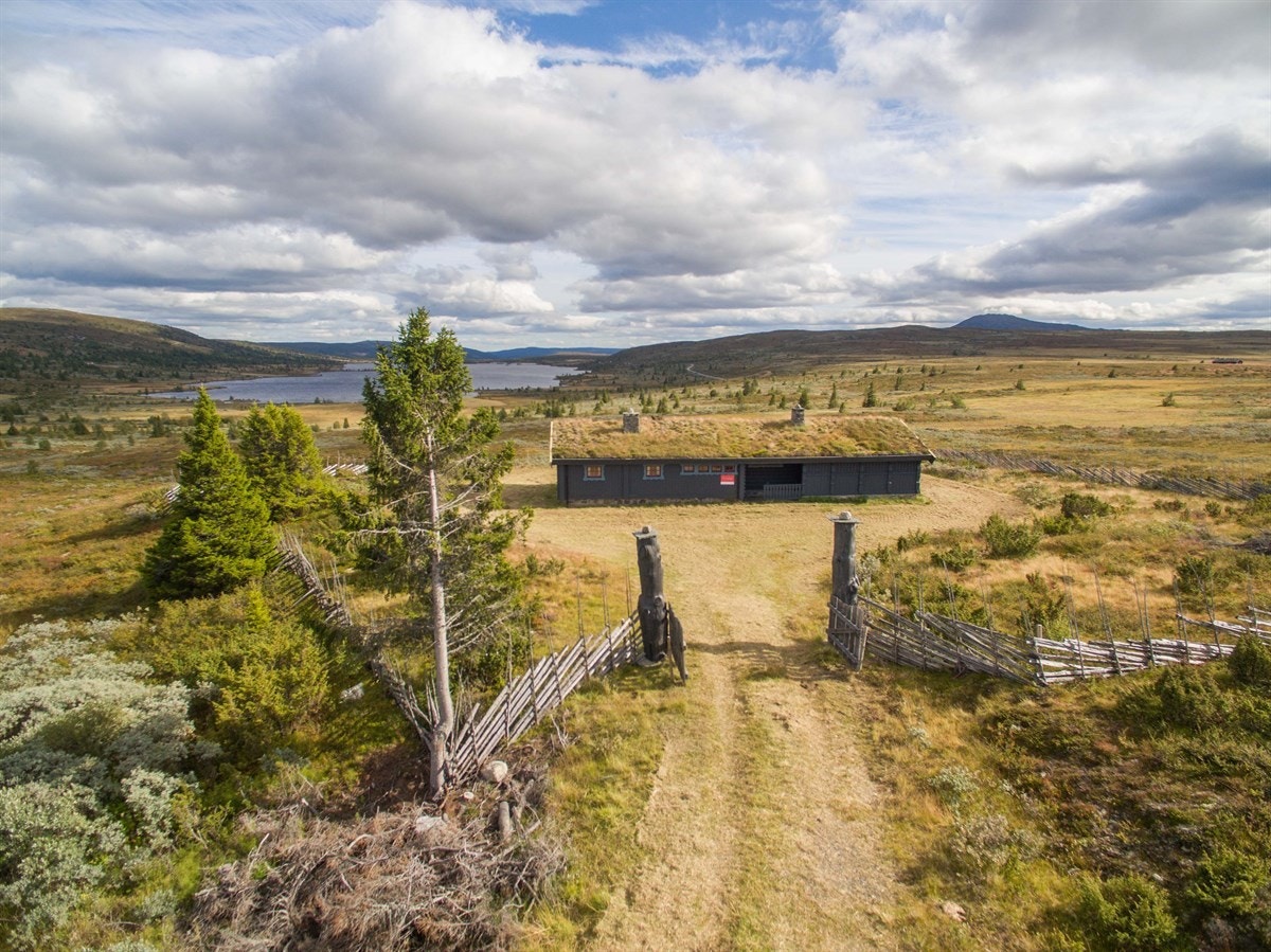 Tomta ligger i svakt hellende terreng mot Sørre Syndin vannet. Ca. 2.500 kvm rundt hytta er inngjerdet med flott skigard. Galleribilde