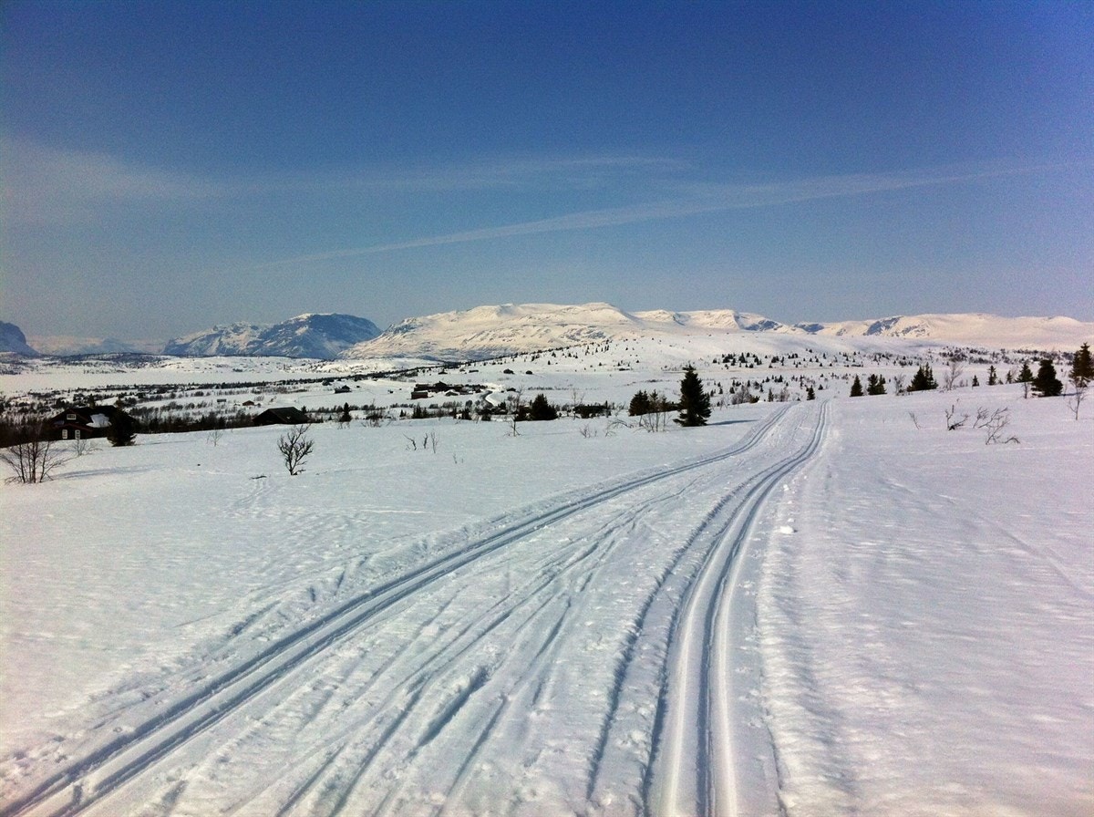 Disse løypene er en del av et omfattende løypenett som strekker seg milevis innover fjellet. (Bildet er fra området) Galleribilde