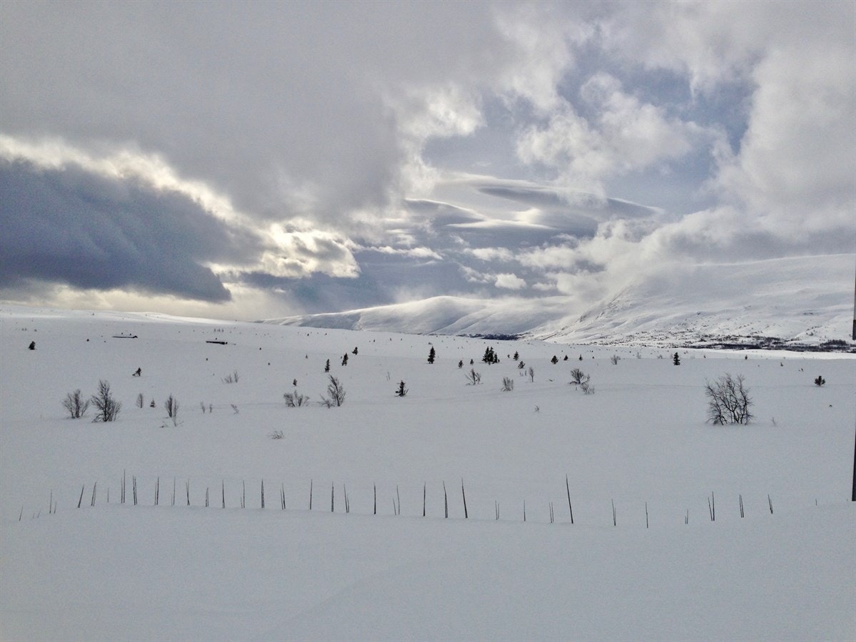 Her kan du spenne på deg skiene rett utenfor hyttedøra, og nyte høyfjellsnaturen. Dette bildet er tatt rett utenfor hytta. Galleribilde