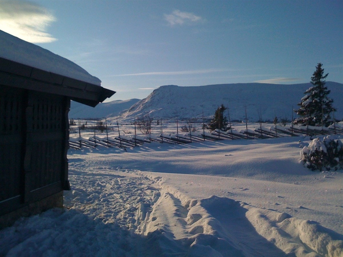 Syndin er flott utgangspunkt for naturopplevelser både sommer og vinter. Galleribilde