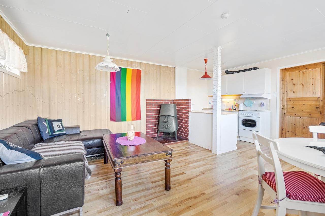 Stue/kjøkken i sokkel leilighet Galleribilde