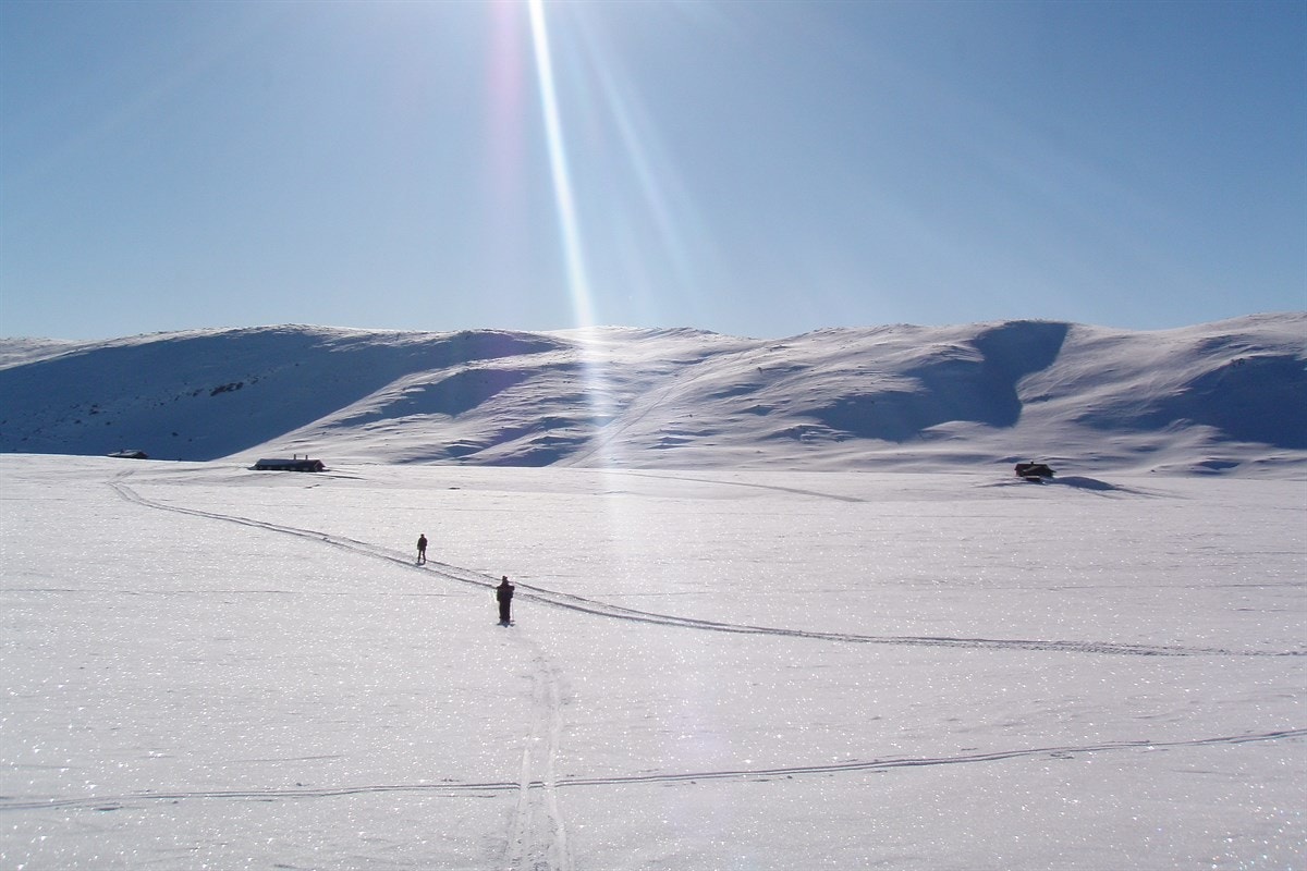 Småroi/Uvdalsfjellet på sitt beste. Galleribilde