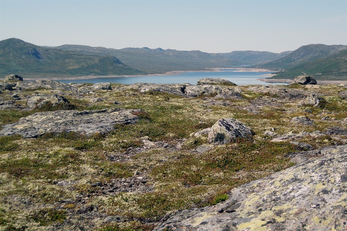 Utsikt Sønstevatn/Imingfjell. Galleribilde