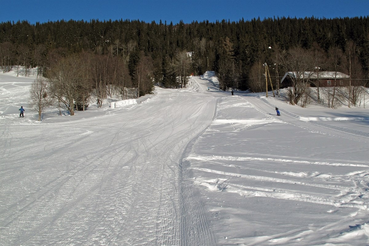 Fjelltelemarks-løype fra snaufjellet og ned til Bakkhus. Galleribilde