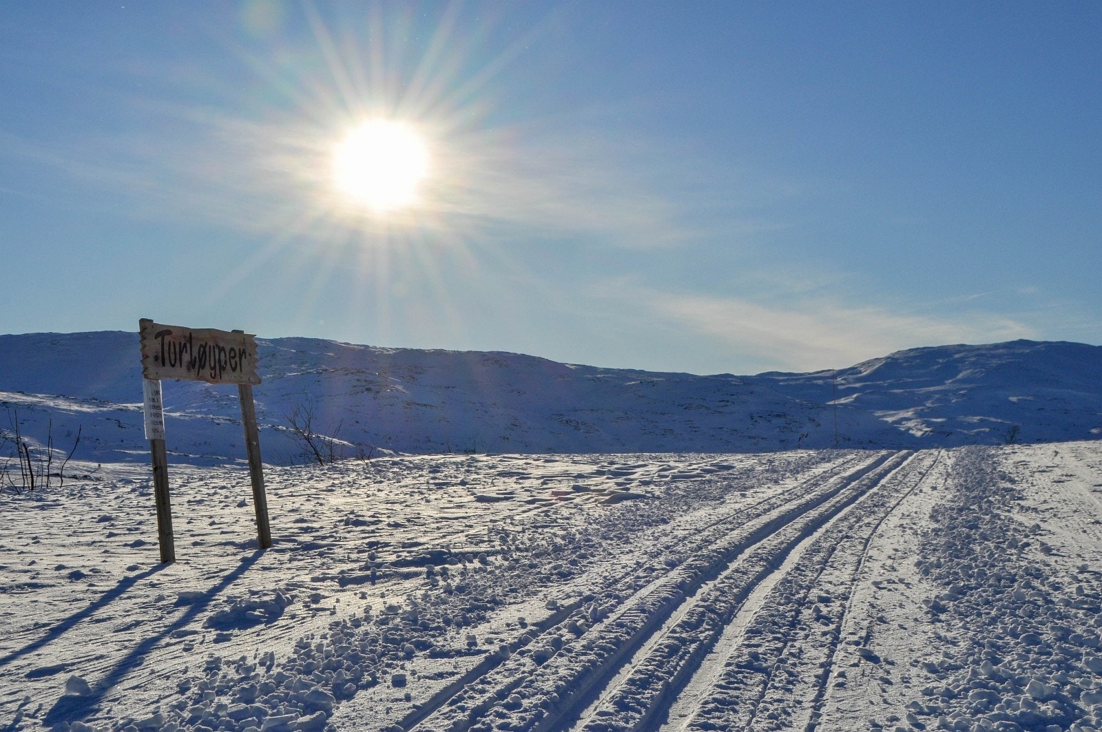 Skorovas Galleribilde