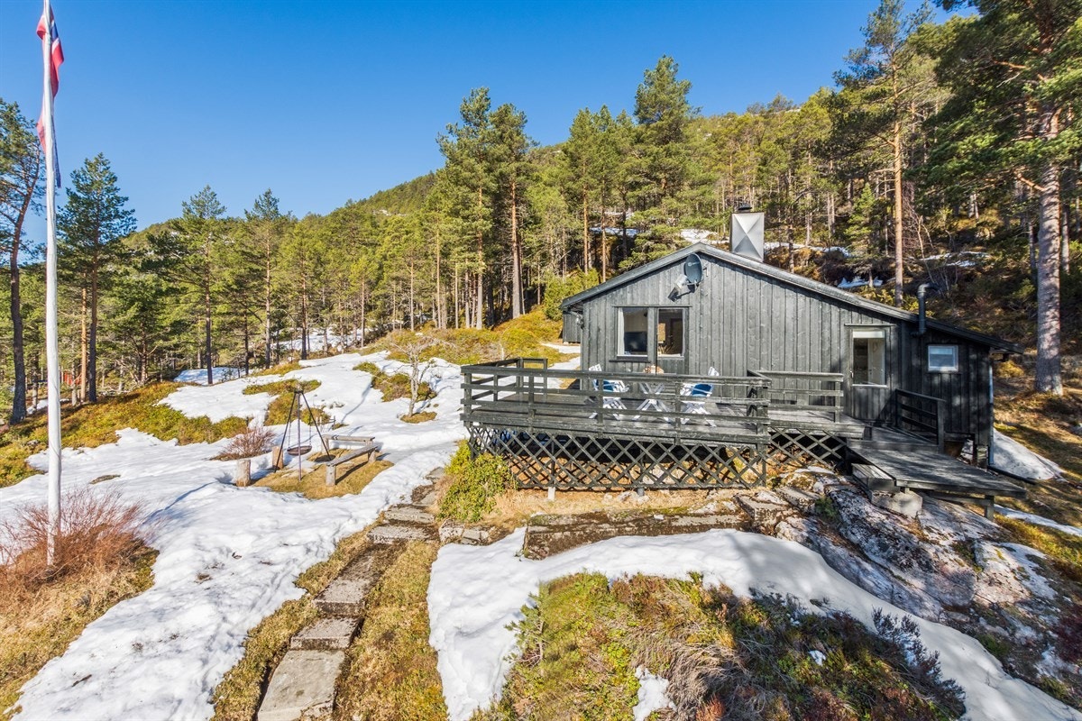 Fasade. Galleribilde