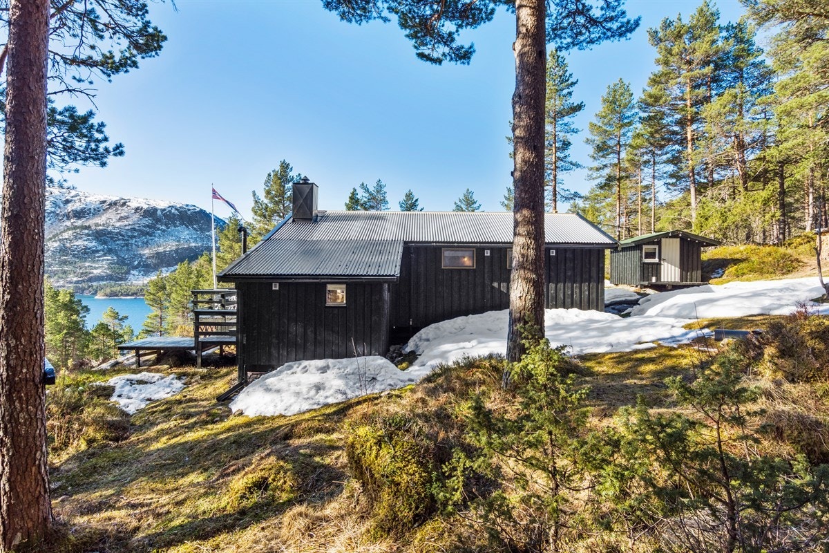 Fasade. Galleribilde