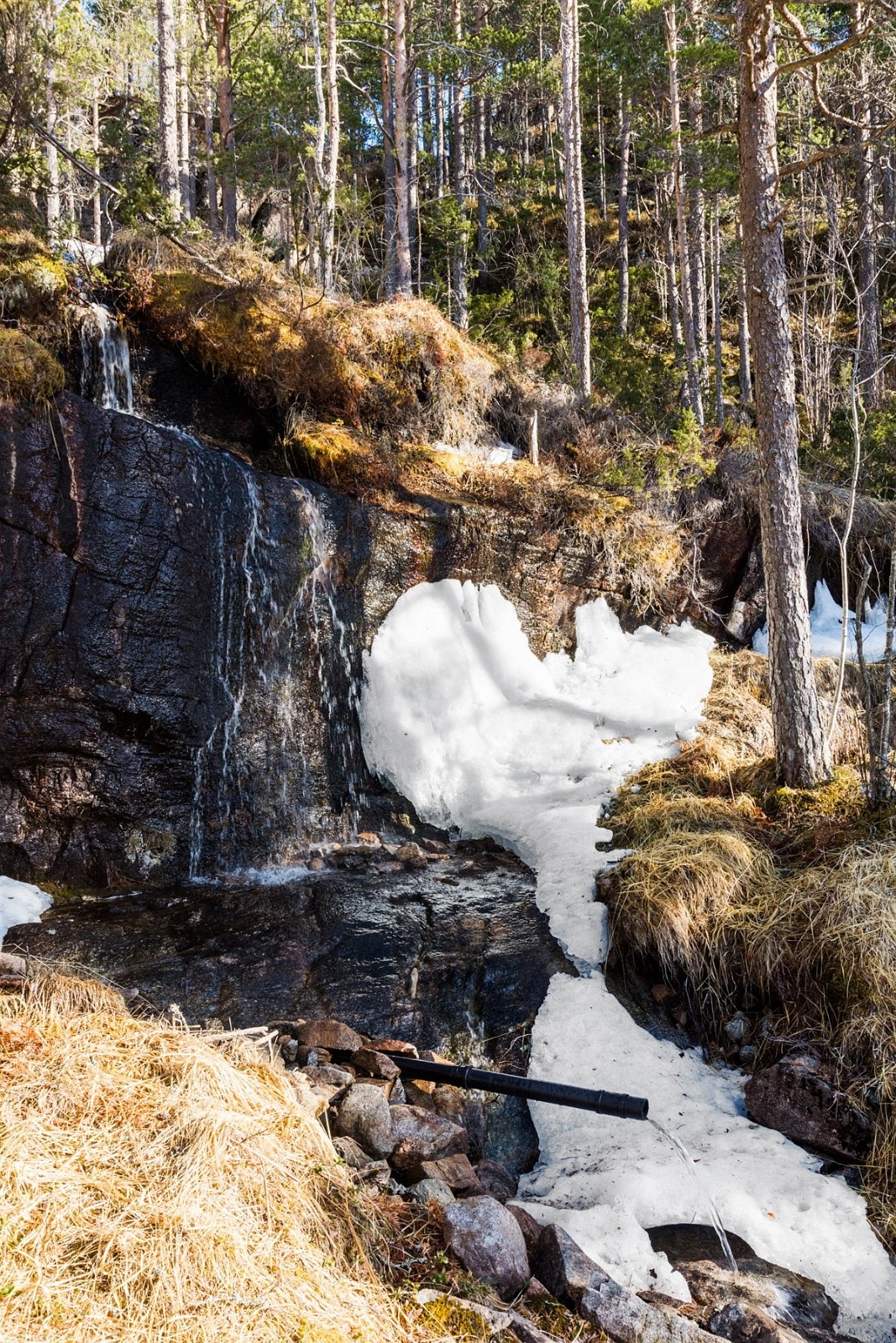 Nærområde. Galleribilde