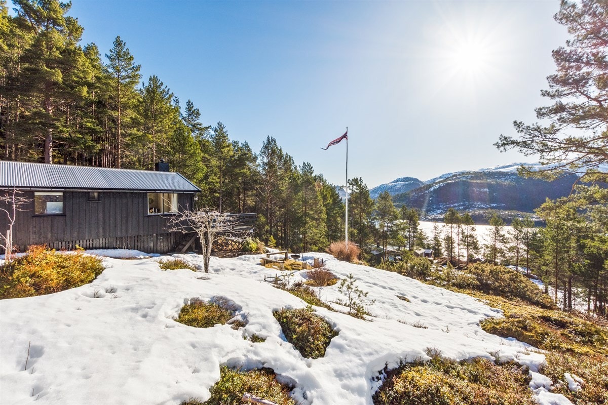 Fasade. Galleribilde