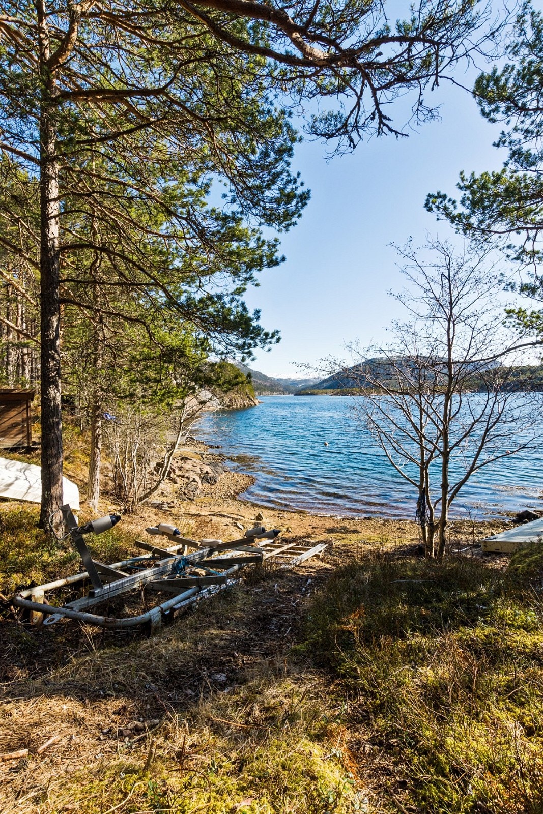 Ved sjøen Galleribilde