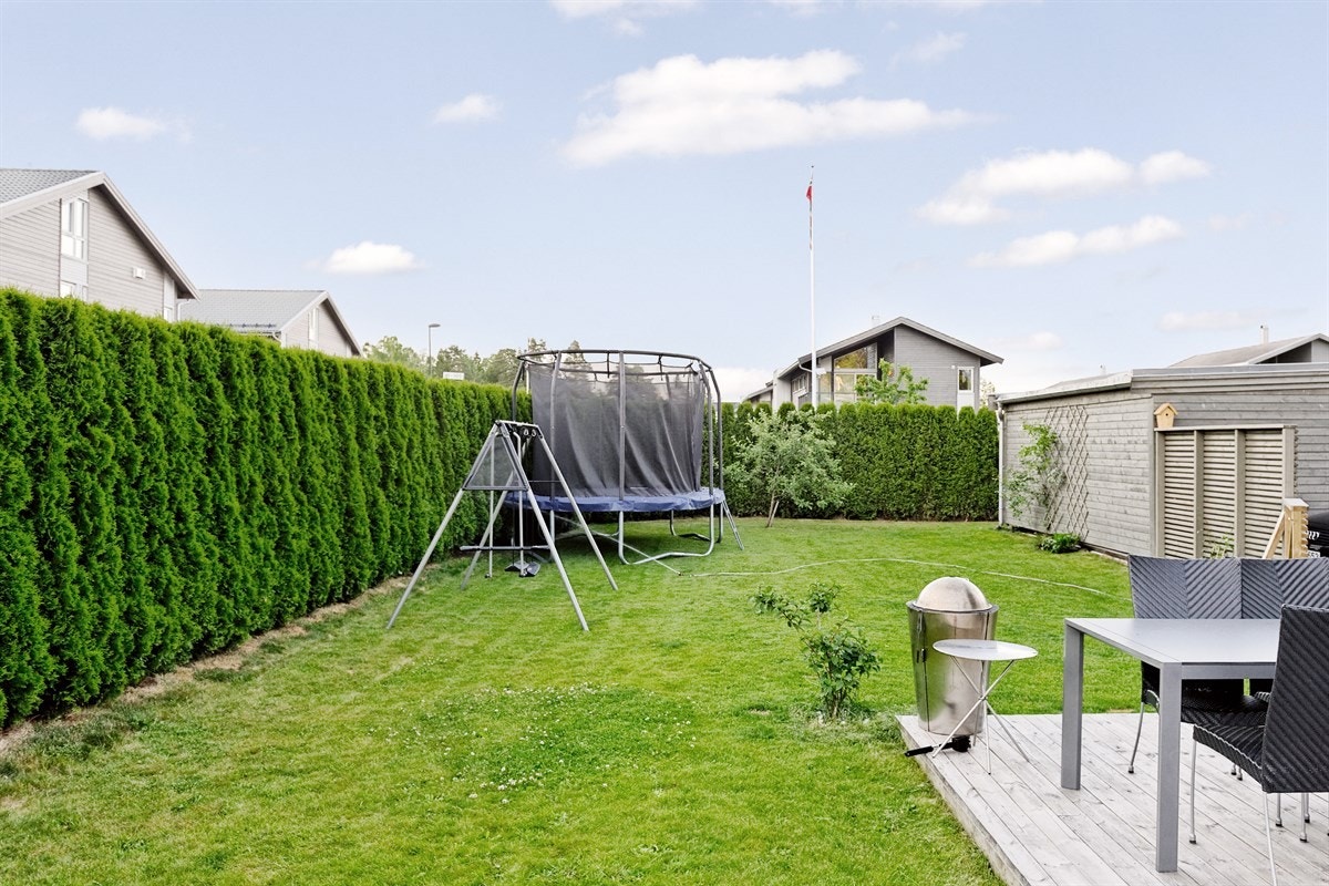 Sommerbilder Galleribilde