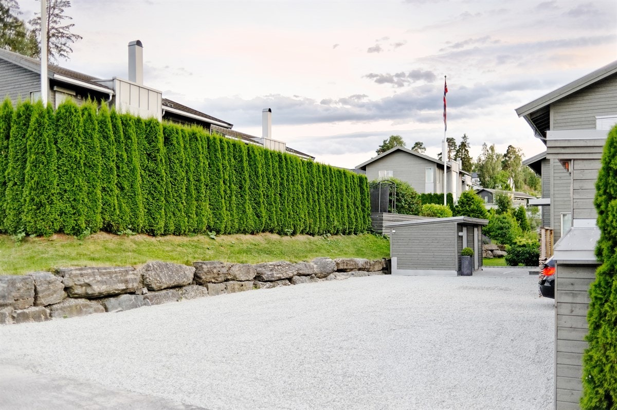 Sommerbilder Galleribilde