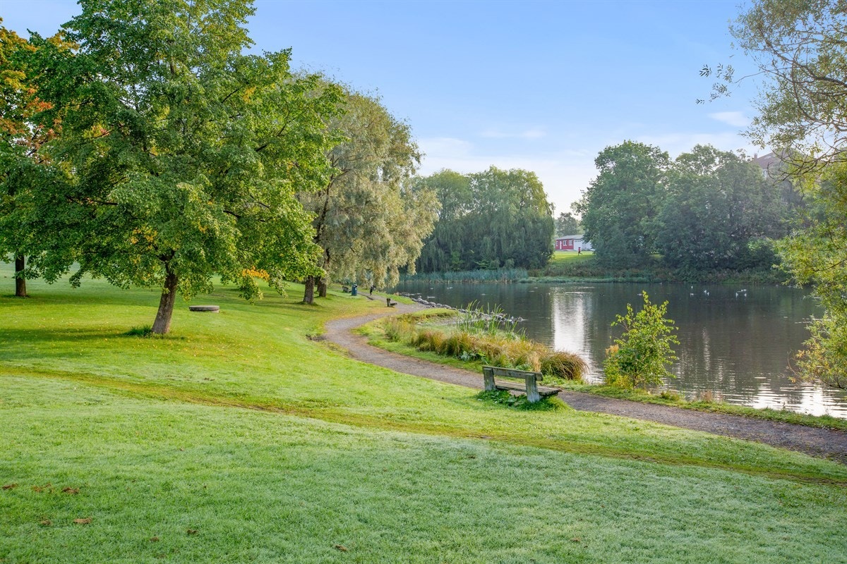 Andedammen Galleribilde