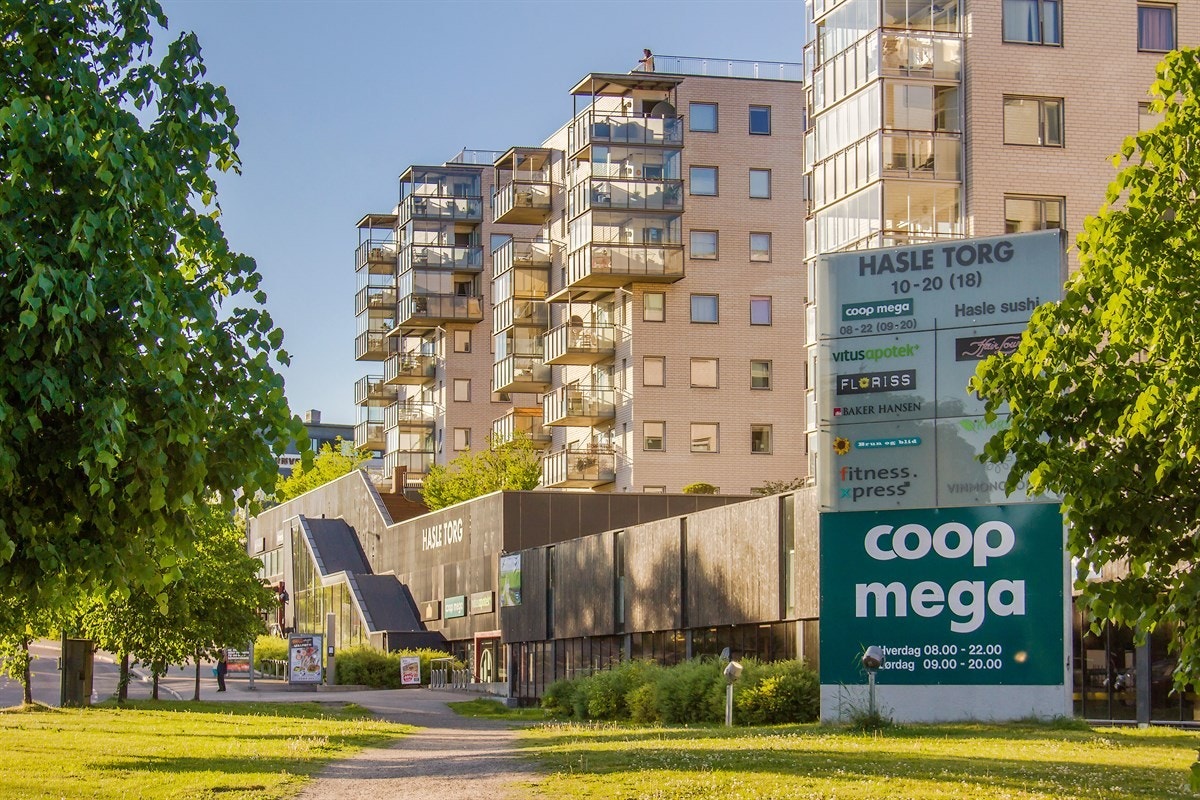 Halse Torg Galleribilde