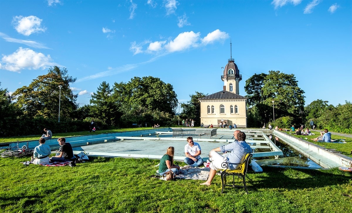 Nærmiljø Galleribilde