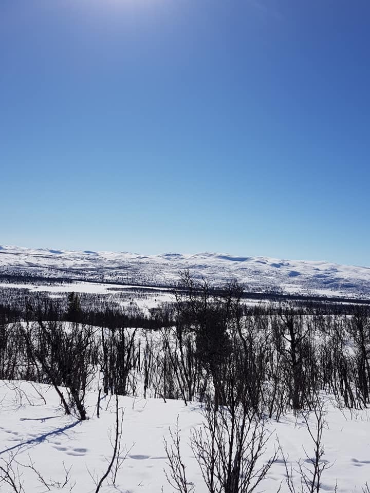 Sol hele dagen:) Galleribilde