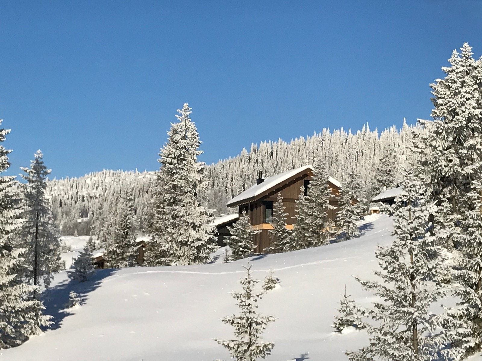 21 feb kl 1030 fra området Galleribilde